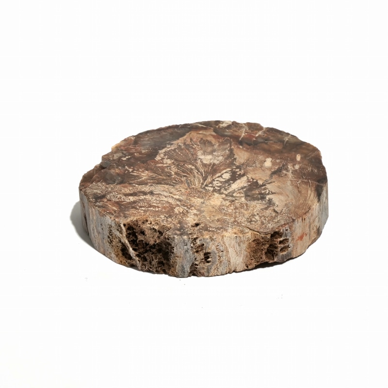 珪化木スライス ペトリファイドウッド 木の化石｜マライカ公式通販