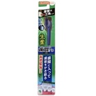 生葉 歯間に入るブラシ コンパクトヘッド ふつう 1本入：ブルー