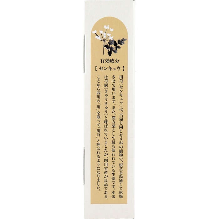 【入浴剤】 薬用入浴剤 薬治湯 生薬風呂 和み生薬の香り 25g×10包入