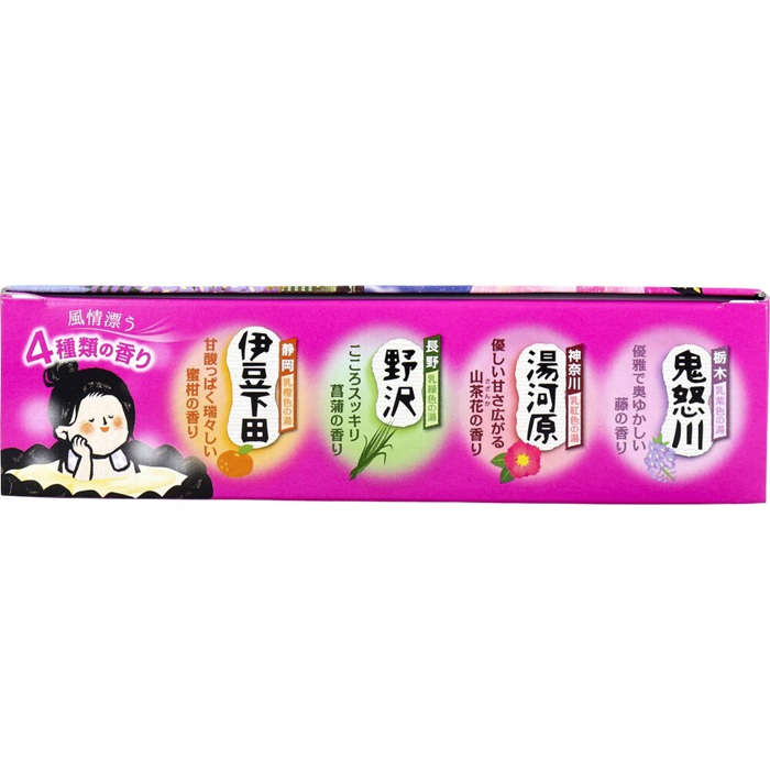 【入浴剤】 いい湯旅立ち 薬用入浴剤 富士見にごり湯の宿 25g×12包入