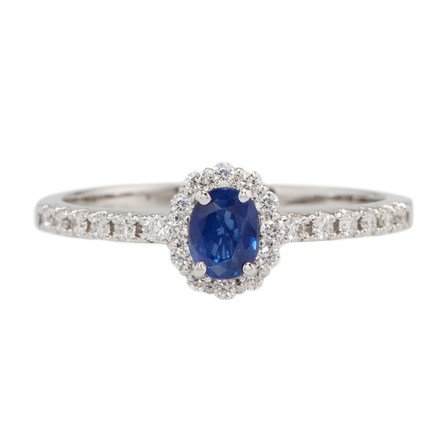 1月29日 20:00発売｜コーンフラワーブルーサファイア リング /s0207sc