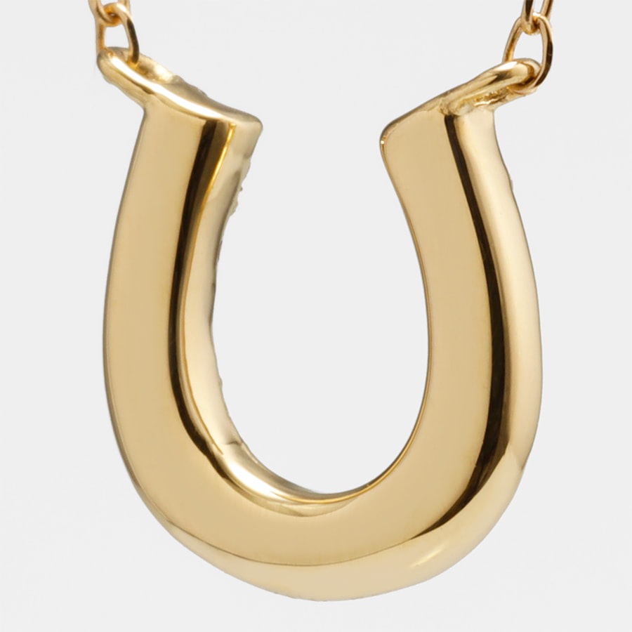 ダイヤモンド ネックレス ホースシュー Medium / b0370da