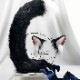 【odr】けもみみカチューシャ&しっぽセット《ハンドメイドコスプレ小物》【Malymoon/マリームーン】【odr6155-2】|カチューシャ(headpiece)|コスプレ小物