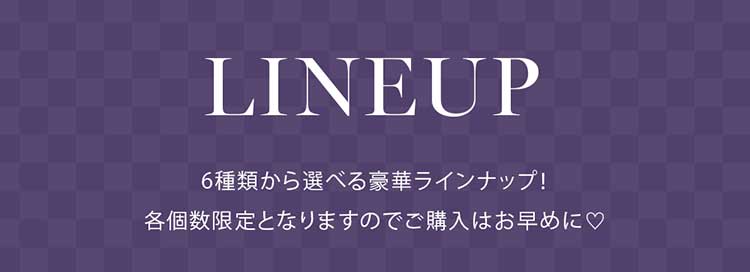 5～7営業日以内に発送】【2点入り】セクシーコスチューム福袋2026
