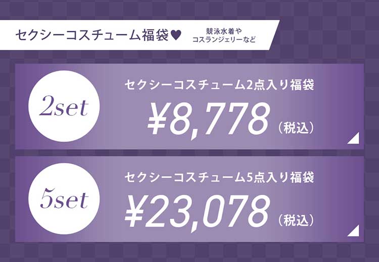 5～7営業日以内に発送】【2点入り】セクシーコスチューム福袋2026