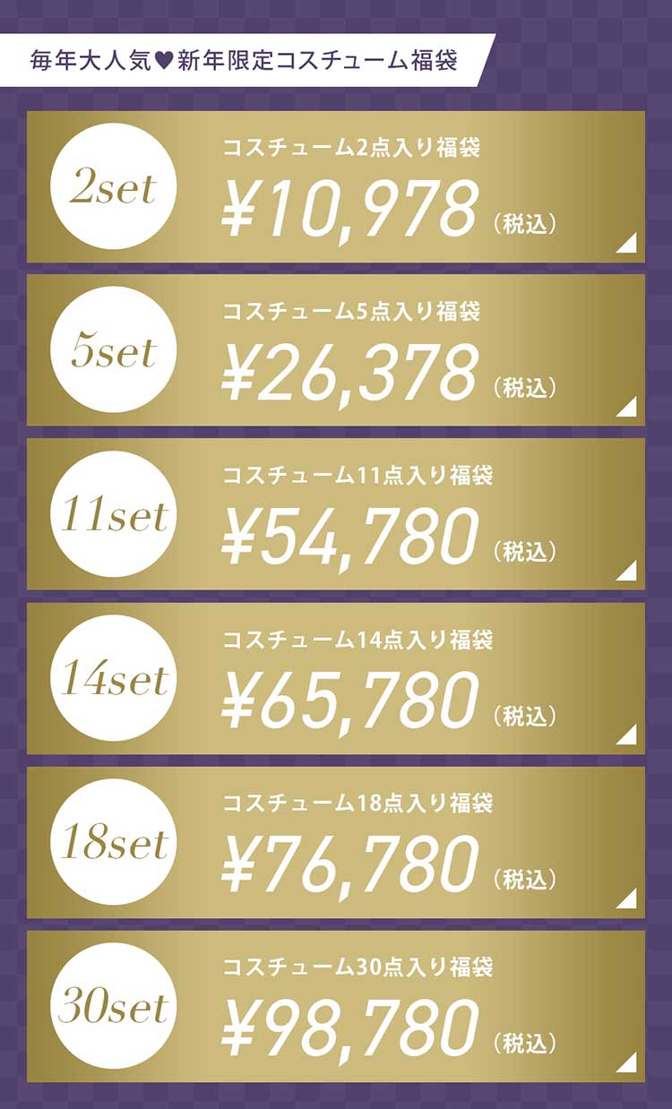 5～7営業日以内に発送】【2点入り】セクシーコスチューム福袋2026