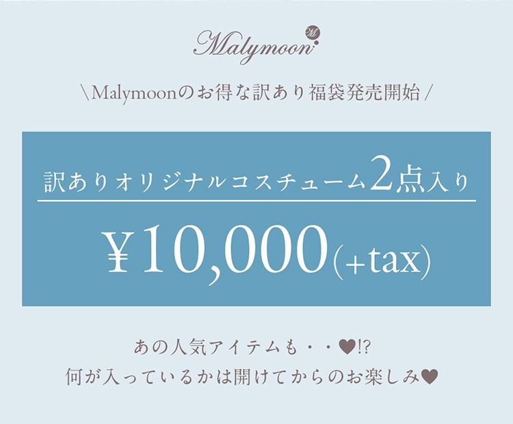 【2～4営業日以内に発送】【2点入り】訳あり福袋2025【happybag25-wake2】 