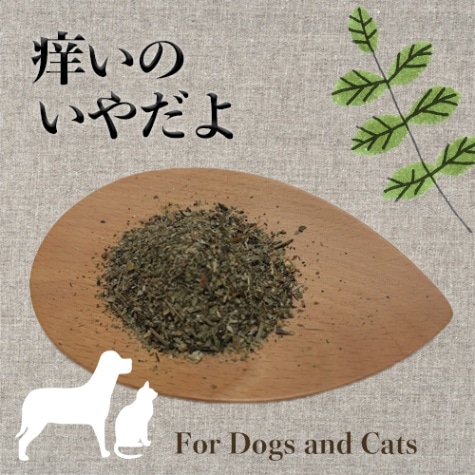 痒いの、とんでけ