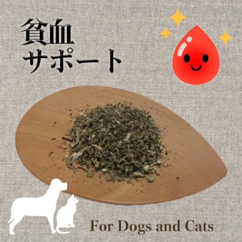 貧血改血
