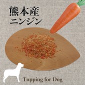 人参
