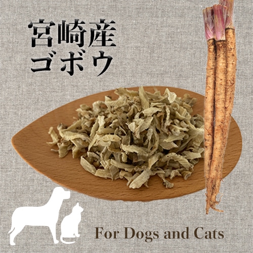 ごぼう
