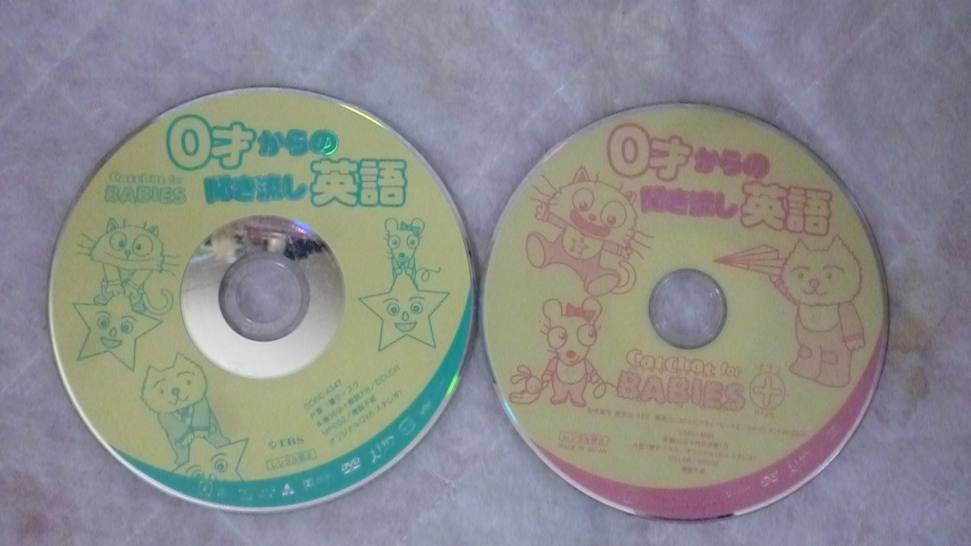 キャットチャット TBS