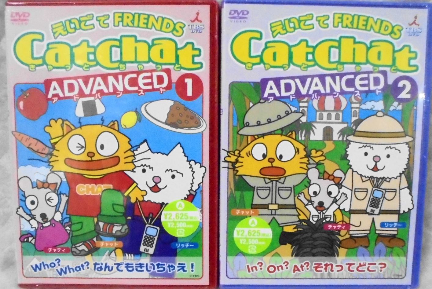 catchat DVD 4枚組