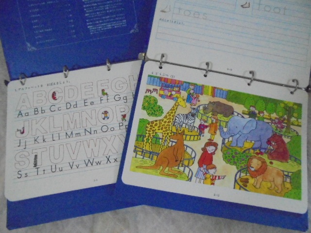 モンテッソーリ式プルチノ かたちづくりセット　形作りセット　中央出版　パズル