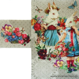 ڼλޤ̾Ųӡޥɥ⥢롦ʥ졼