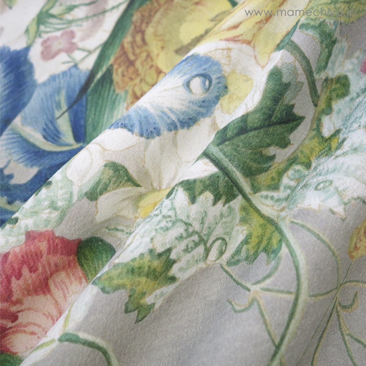 ڼλ۰ʪ µBoeket (֥å)