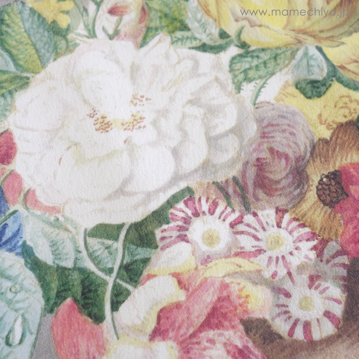 ڼλ۰ʪ µBoeket (֥å)