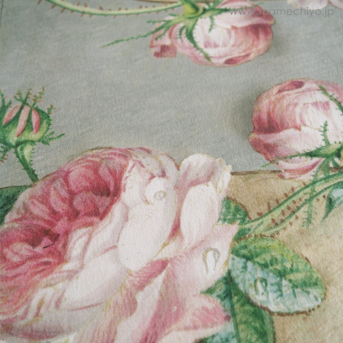 ڼλ۰ʪ µBoeket (֥å)