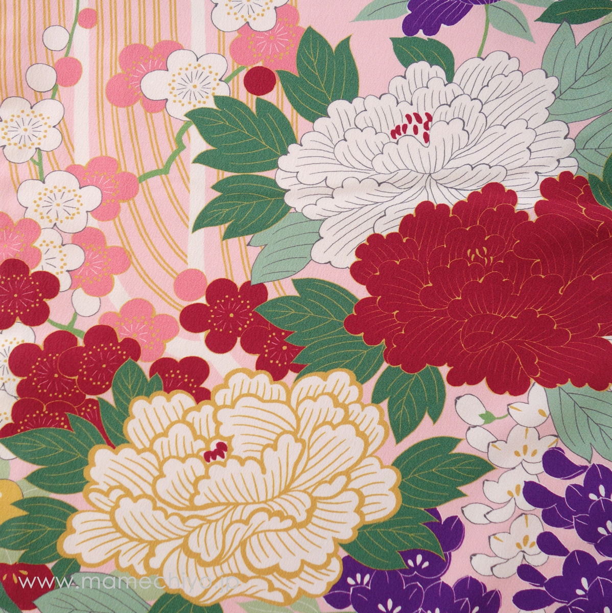 ��¨Ǽ�ʡ۰���ʪ���ֲ�