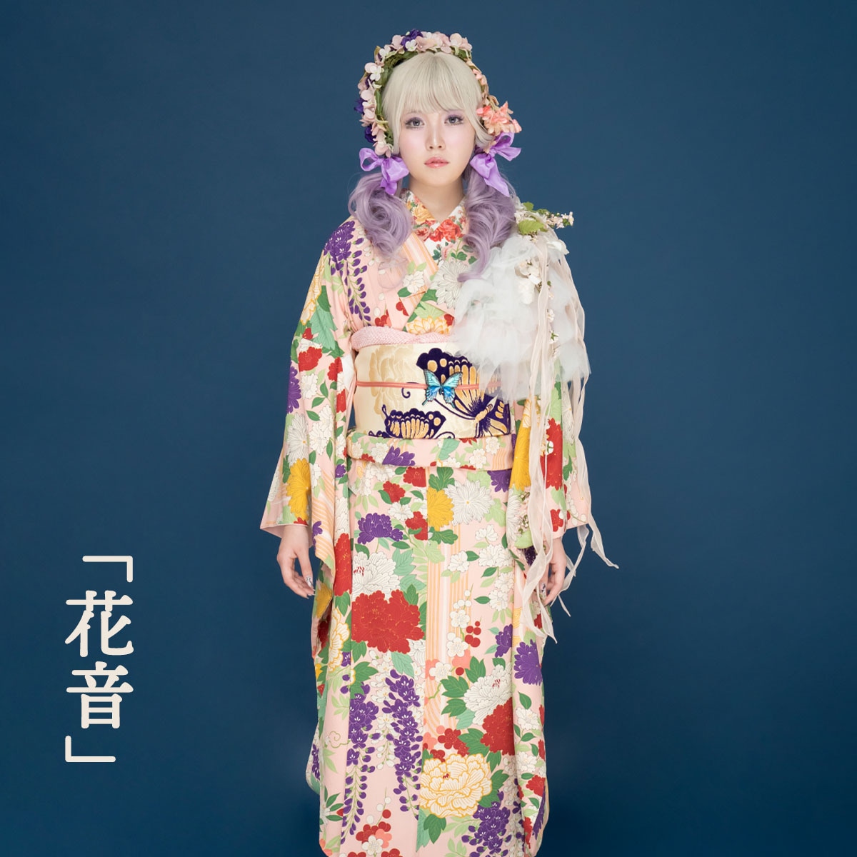 ��¨Ǽ�ʡ۰���ʪ���ֲ�