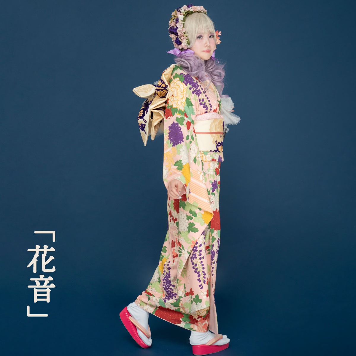 ��¨Ǽ�ʡ۰���ʪ���ֲ�