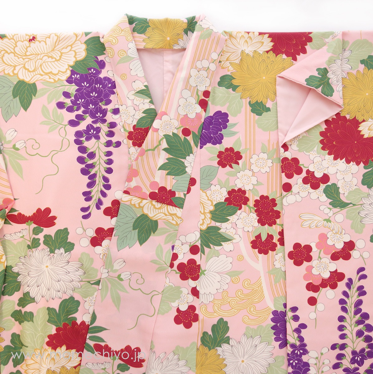 ��¨Ǽ�ʡ۰���ʪ���ֲ�