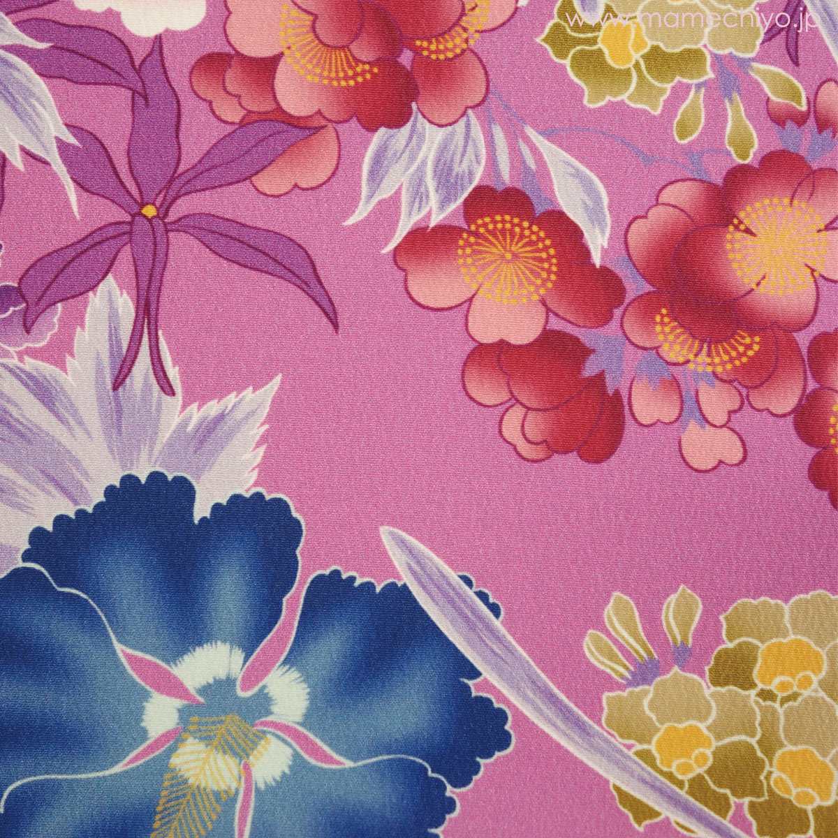 ��¨Ǽ�ʡ۰���ʪ�����Υ�