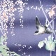 ��� ƣ�ȥĥХᡡ����µ