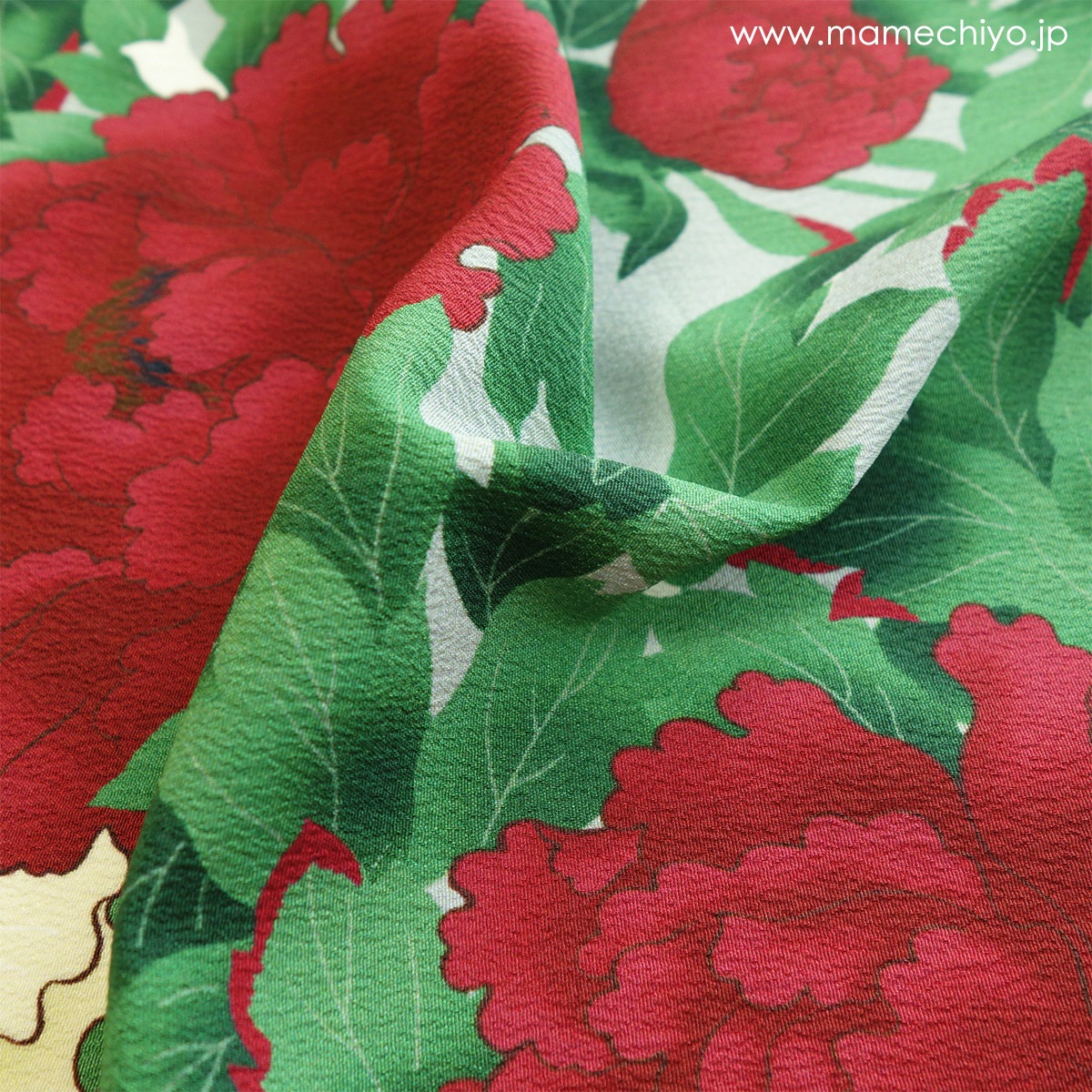 ��¨Ǽ�ʡ۰���ʪ����ð