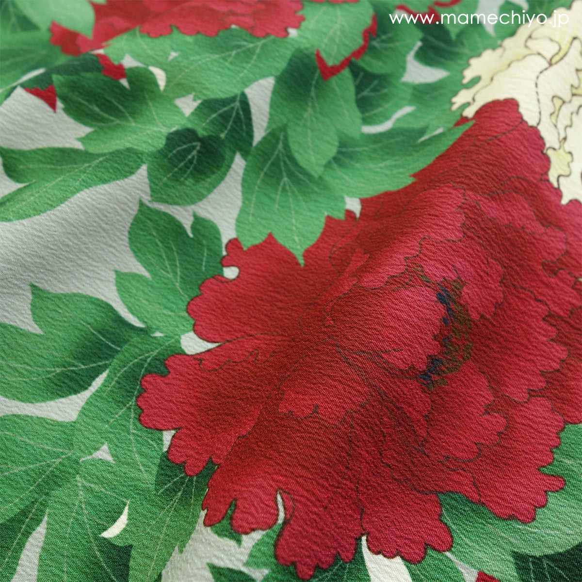 ��¨Ǽ�ʡ۰���ʪ����ð