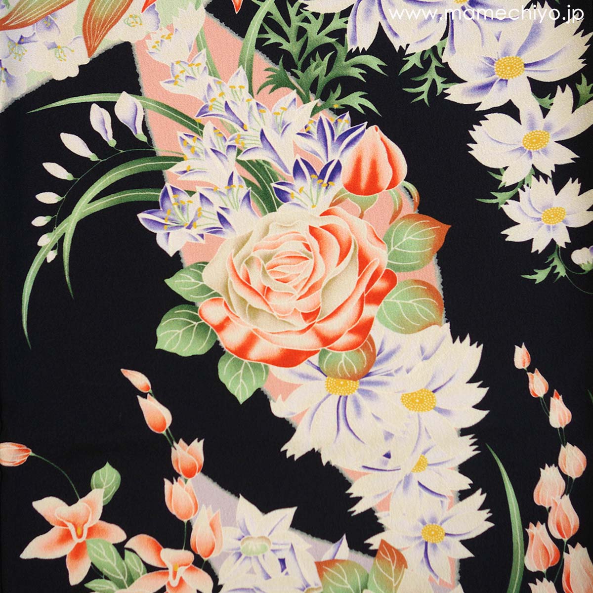 ��¨Ǽ�ʡ۰���ʪ������졡