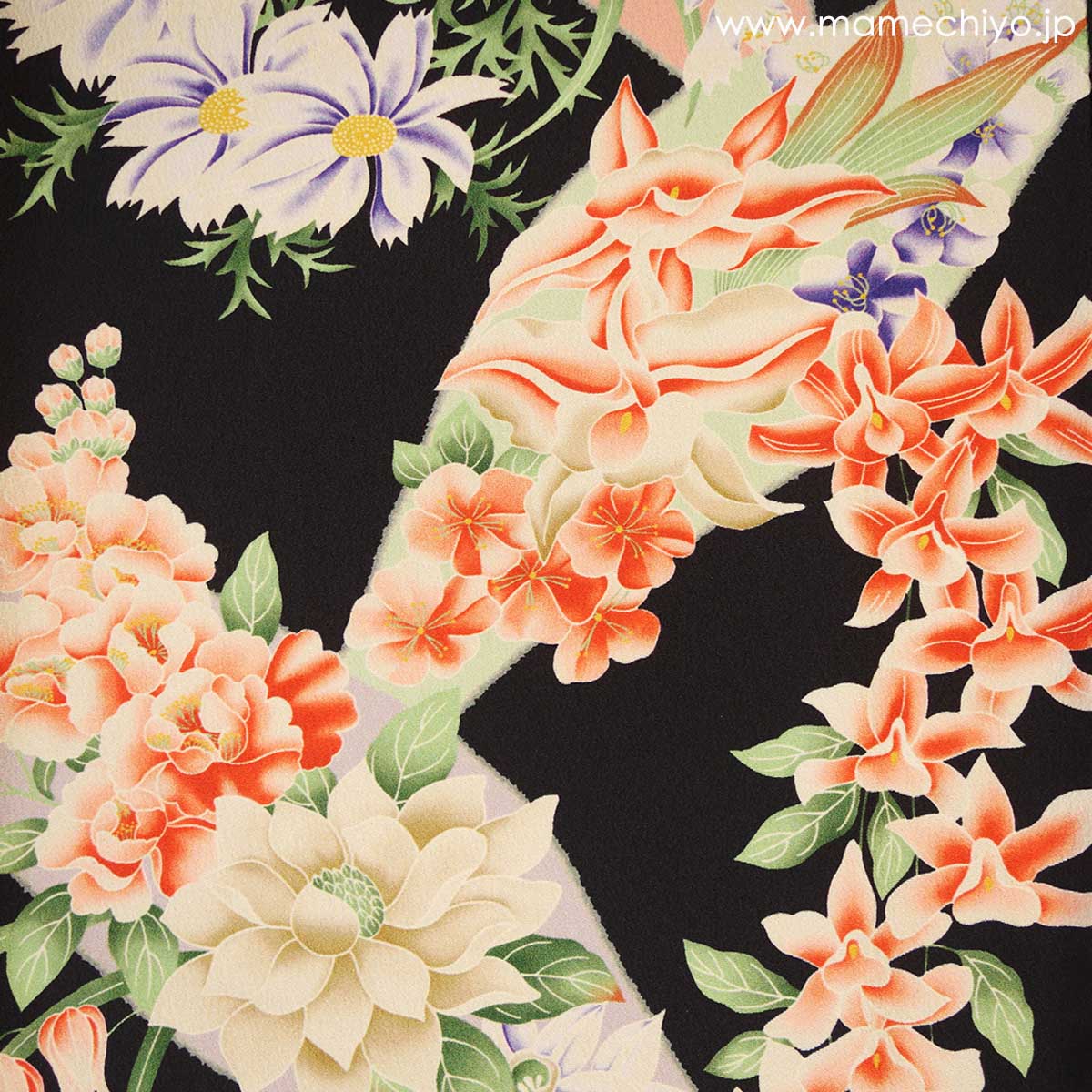 ��¨Ǽ�ʡ۰���ʪ������졡