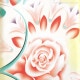 ��� �Ҥᤴ�ȡʥ��󥤥�����������µ