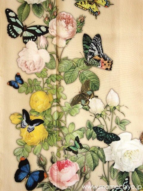 ��1��1���������ȼ����������µ��ˬ���� �鯤�ĳ�Υ���(���ޥ�)