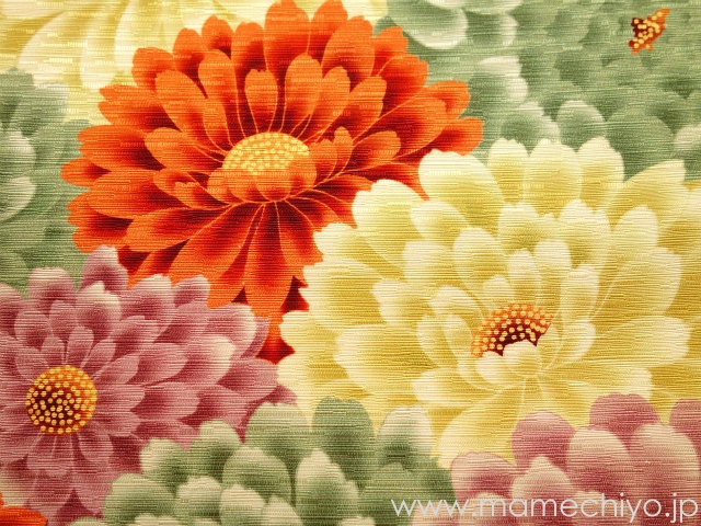 �ڼ�����λ���ޤ�����̾�Ų��ӡ��ߥꥪ����ϥԥͥ�