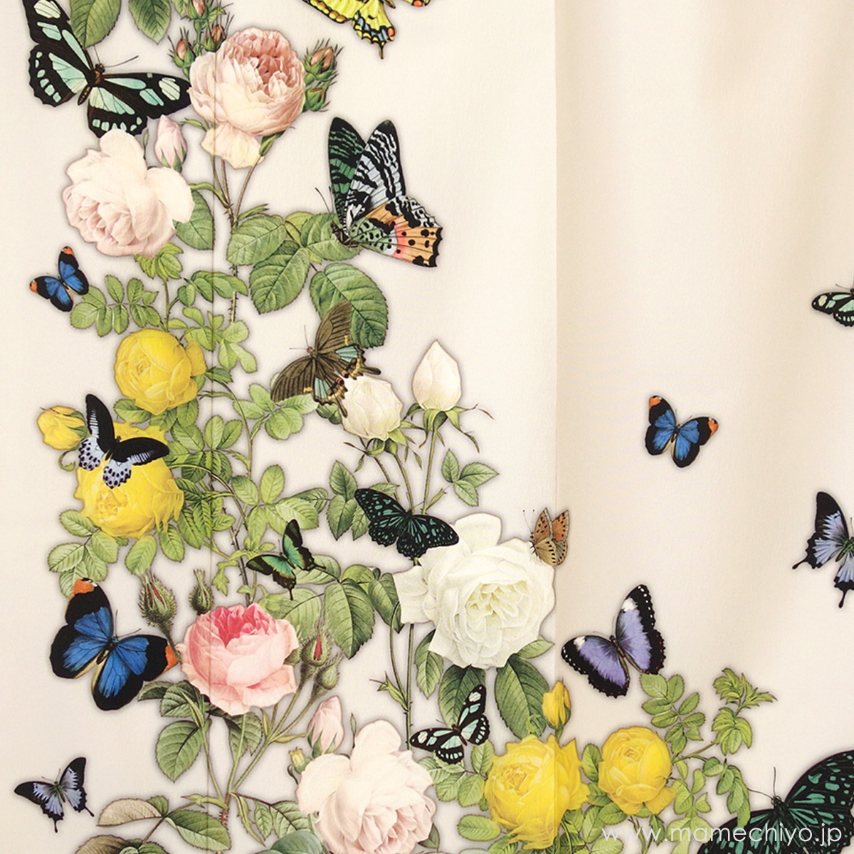 ��1��1���������ȼ���������µ���鯤�ĳ�Υ��ġʥѡ����