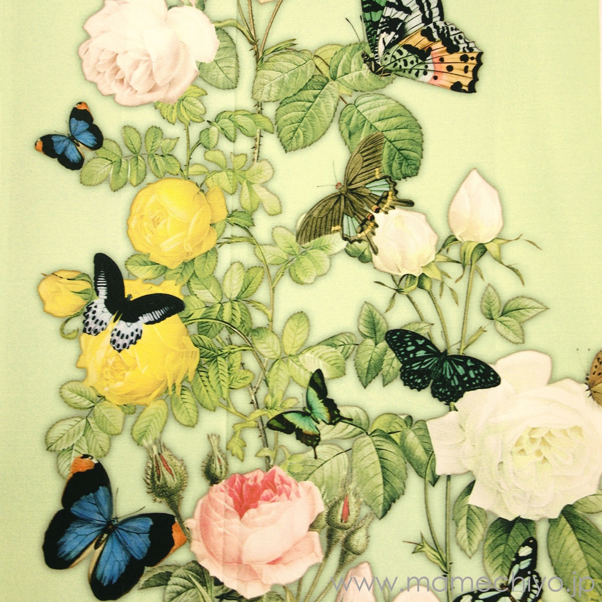 ��1��1���������ȼ���������µ���鯤�ĳ�Υ��ġʼ����