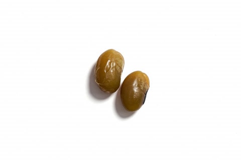 ǽ�Ф���Ʀ