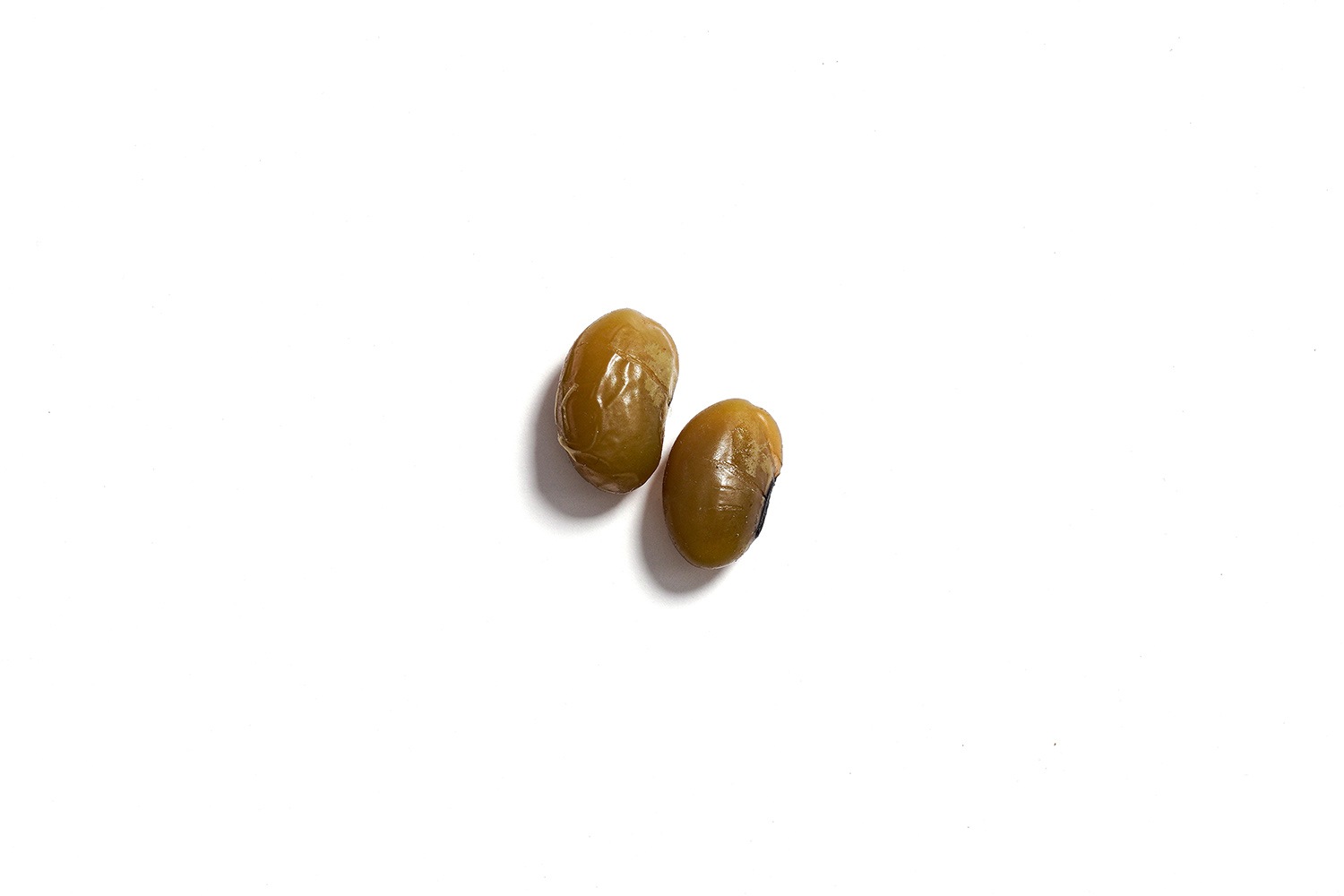 ǽ�Ф���Ʀ