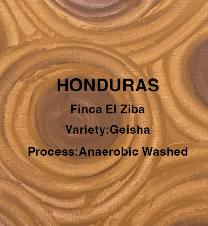 HONDURAS Finca EI Ziba 【※100g】