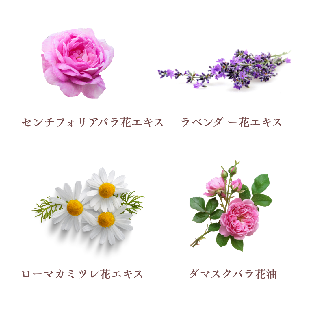 �������ڥ��� ������ȥ� ����󥶡�