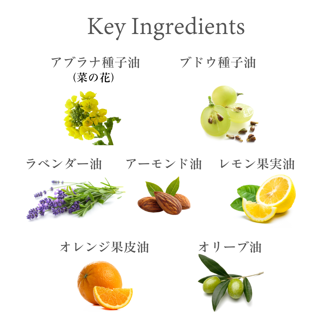 �������˥å��ͥ��뽸�楱��