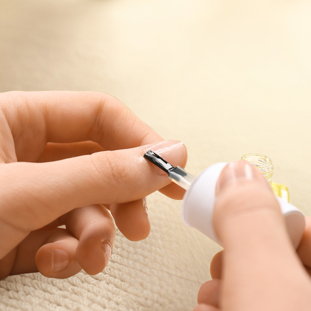 �������˥å��ͥ��뽸�楱��