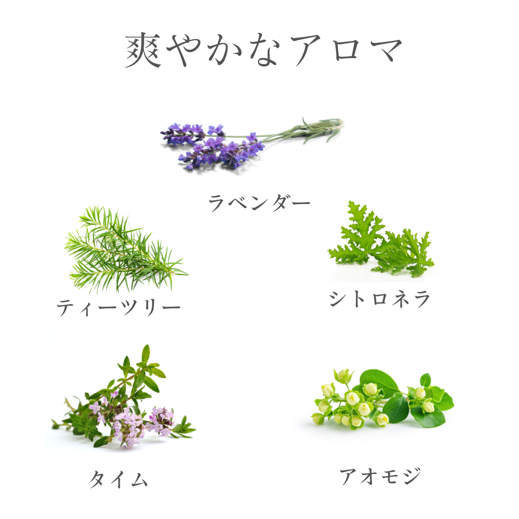 �ӥ��⥤�����㡼�С���