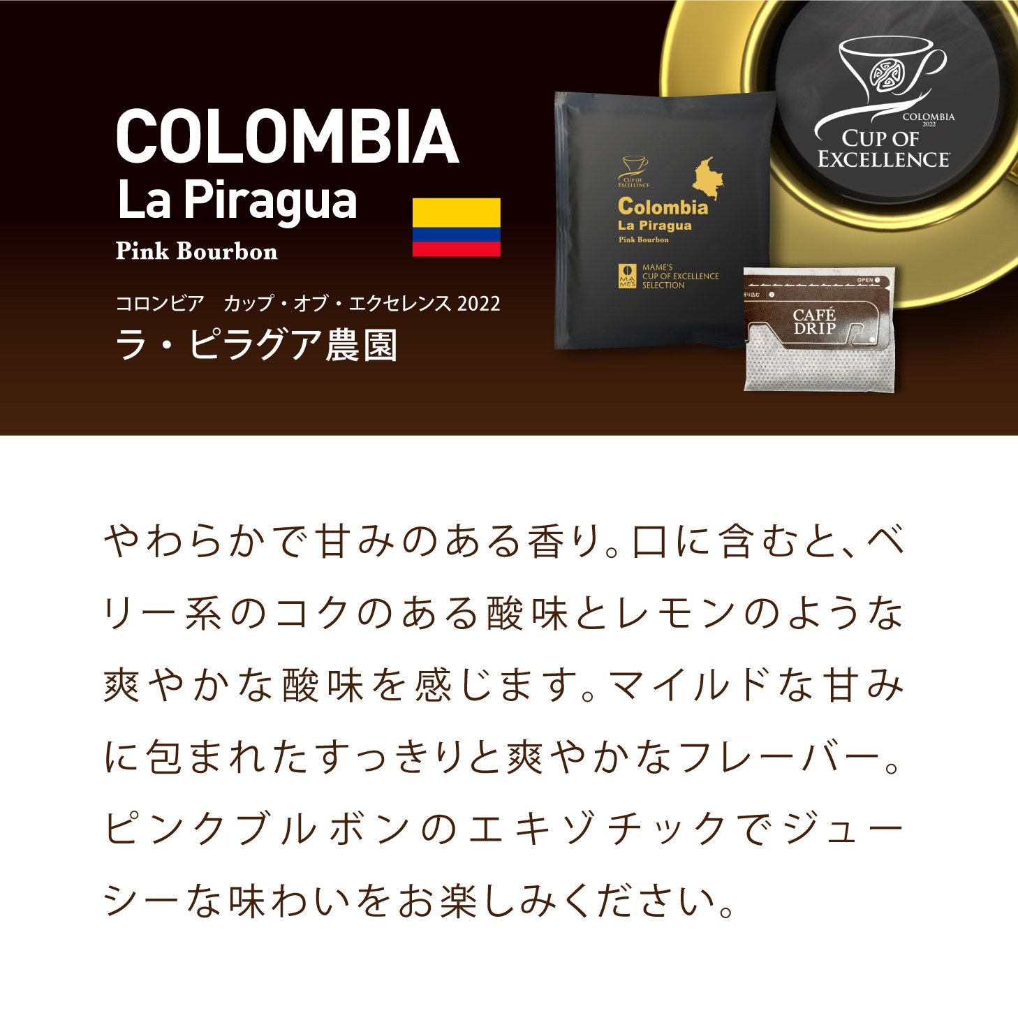ドリップコーヒー コロンビアCOE ラ・ピラグア農園 5個 | ドリップ