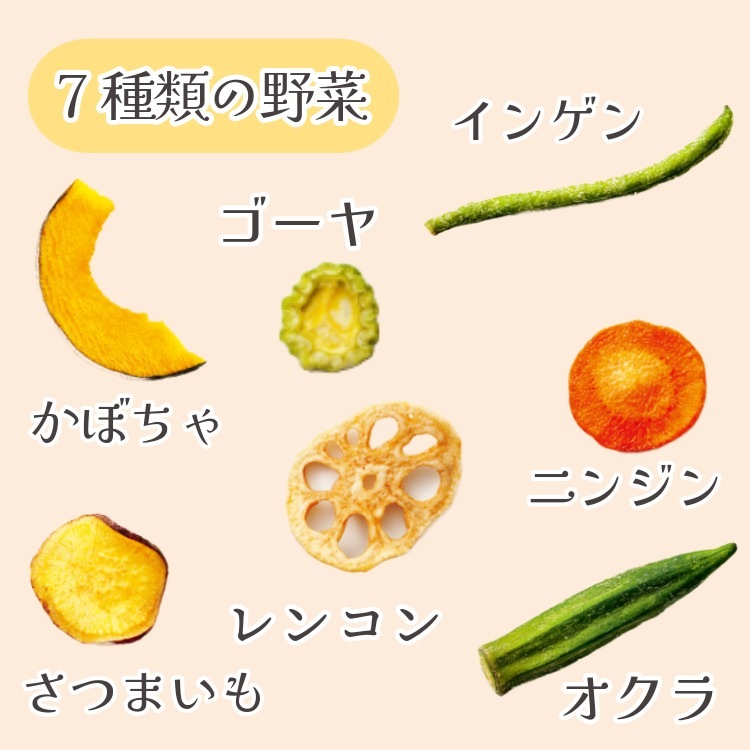 8袋11種の野菜＆果物チップス ~彩菓とりどり 箱入り~