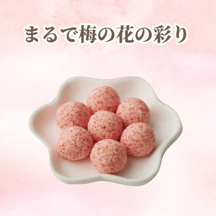 ピンクにきらめく愛らしい豆菓子 ~小梅大豆~