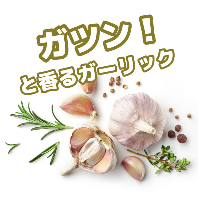 ガーリックの香り豊かな味わい ~ガーリックバターそら豆~