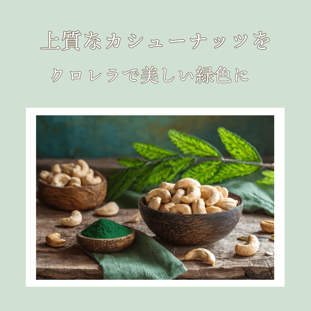 美容と健康が気になる方に ~グリーンカシュ~