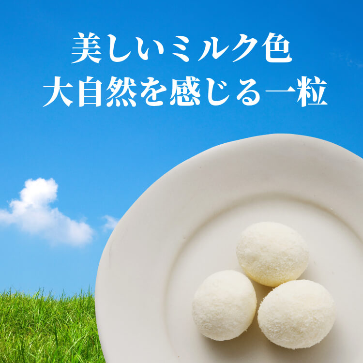 やさしい塩味でほっこり ~塩ソフト豆~